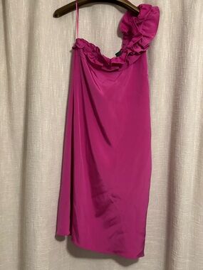 JAYGODFREY Vibrant Fuchsia Dress